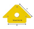 MAGNES.jpg