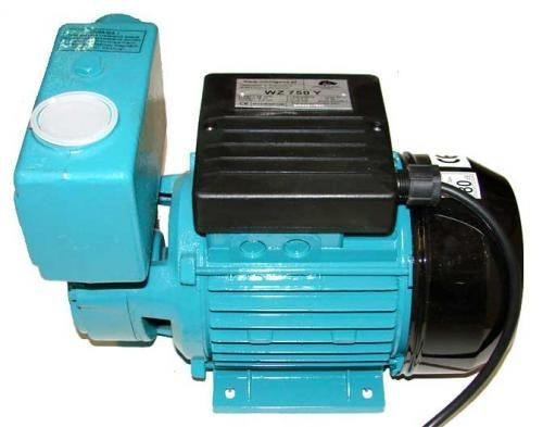 wz 250.jpg